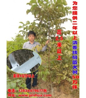 ��Ӧ�������ϵ��������������������ɺ˺�����������