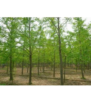 ��������ֱ�����������۸��Żݣ���������