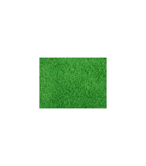 �������ؼ۹�Ӧ��Ļ���ƺ�����ò�ƺ����������ƺһ�췢��������